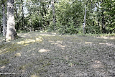 Cleared Area