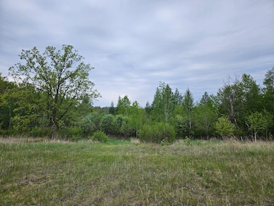 TBD Pillager Creek Trail SW, Pillager, MN 56473 - photo 7