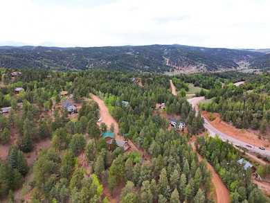 68 Horseshoe Dr, Divide, CO 80814 - photo 2
