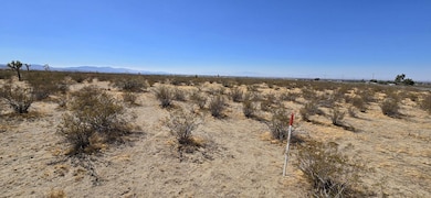10707 Pearblossom Hwy, Littlerock, CA 93543 - photo 4