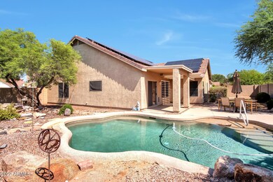 Backyard pool