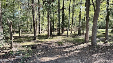 203 Goodman Rd, Pelahatchie, MS 39145 - photo 7