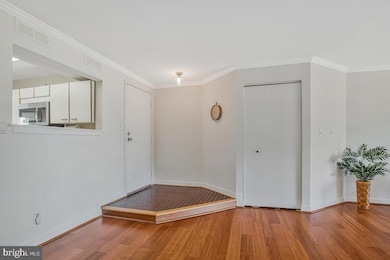 7002 Channel Village Ct unit 101, Annapolis, MD 21403 - photo 6