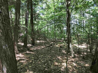 00 Ryan St unit 202/41, Wakefield, NH 03872 - photo 3