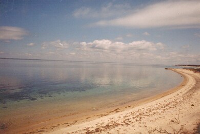 57 Christmas Hill Ln, Vineyard Haven, MA 02568 - photo 5