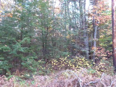 15 Harvest Ln, Tuftonboro, NH 03816 - photo 3