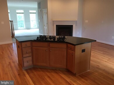 25802 Turlough Terrace, Chantilly, VA 20152 - photo 7