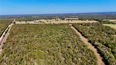 TBD, Bremond, TX 76629 - photo 4