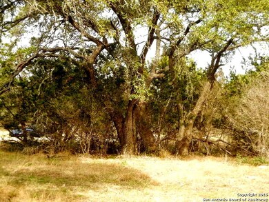 LOT1 BLOCK3 River Water, Spring Branch, TX 78070 - photo 2