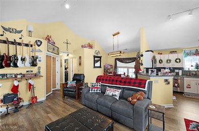 Living room featuring rail lighting, wood finished floors, plenty of natural light, and high vaulted ceiling