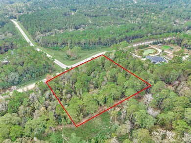 498 Lonestar Rd, Huntsville, TX 77340 - photo 5