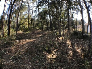 0 SW 169th Place unit G5006292, Ocala, FL 34473 - photo 6