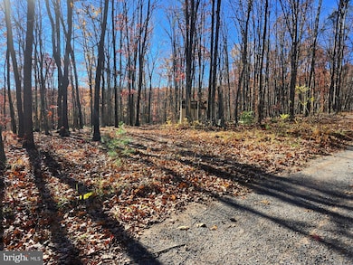 176 Rendezvous Rd, Delray, WV 26801 - photo 6