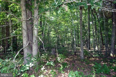 0 Okeefe Rd unit 1004504974, Bealeton, VA 22712 - photo 5