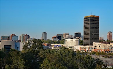 1438 Peacock Ln unit 1438, Saint Louis, MO 63144 - photo 5