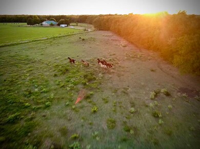 1992 County Road 2100, Cooper, TX 75432 - photo 6