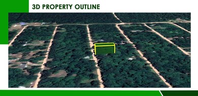 Messer Rd, Saratoga, TX 77585 - photo 2