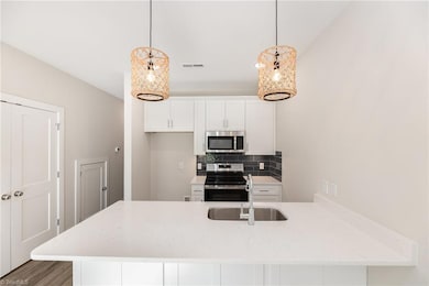 4647 Canter Park Ln, Greensboro, NC 27410 - photo 2