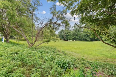 View of grassy yard