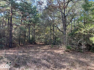 0 Cr 446 unit 22215070, Navasota, TX 77868 - photo 7