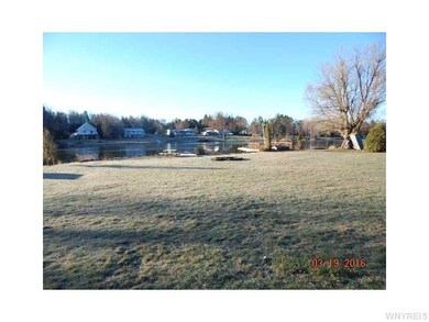 Yard/Garden.