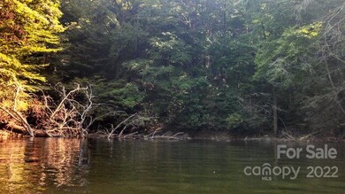 Cove from the Lake