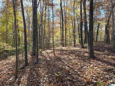 0 Cauthen Cir unit Lot 12 21404430, Roanoke, AL 36274 - photo 2