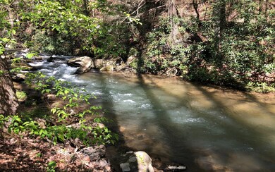 Additional View