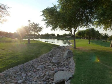 Park Views