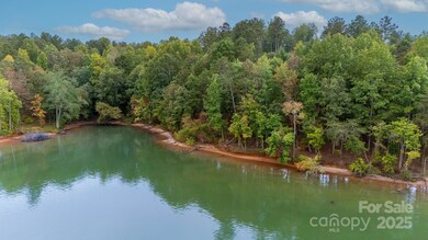 4083 Grays Peak Summit None unit 169, Connelly Springs, NC 28612 - photo 7
