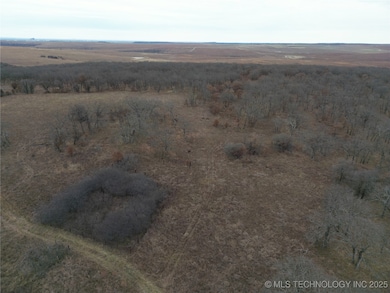 0009 County Road 2145, Bartlesville, OK 74003 - photo 5