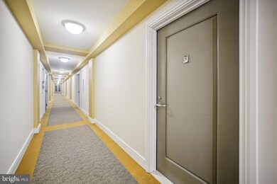 Potomac Place Tower unit S717, Washington, DC 20024 - photo 3