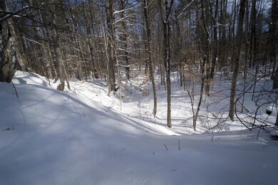 1207 Old Hillsboro Rd, Henniker, NH 03242 - photo 5