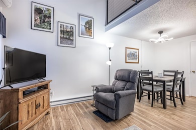 1 Hawthorn Trail unit 1, Wisconsin Dells, WI 53965 - photo 5