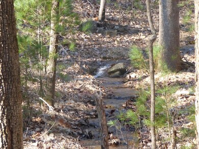 0 Lexington Turnpike unit 330760, Oronoco, VA 24521 - photo 6