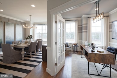 15944 Coolidge Ave, Silver Spring, MD 20906 - photo 6