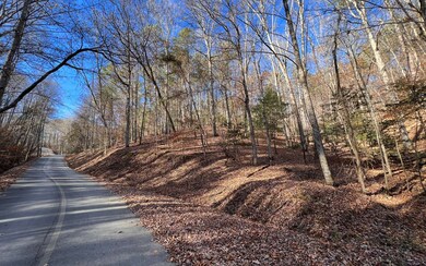 2721 Mooring Dr, Ellijay, GA 30540 - photo 5