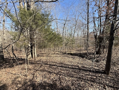 20 Backwoods Estates, Indian Mound, TN 37079 - photo 3