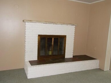 Living Room Fireplace