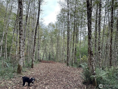 295 Oak Point Rd, Longview, WA 98632 - photo 6