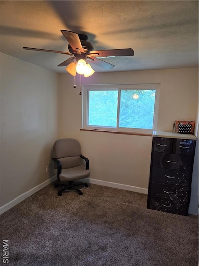 15 Elmwood Place, Saint Charles, MO 63301 - photo 5