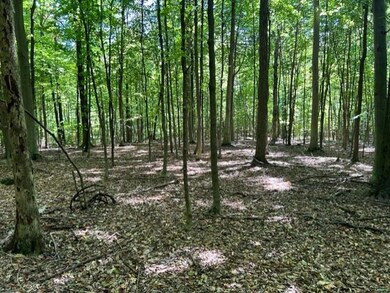 833 Township Road 754, Ashland, OH 44805 - photo 7