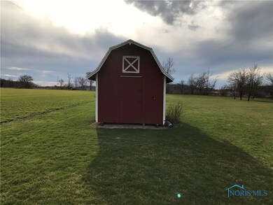 Shed to stay.  Raspberry bushes along North end of