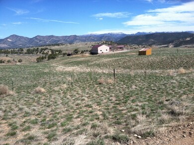 wider spring view
