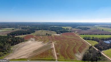 0 Lost Rd, Arabi, GA 31712 - photo 4