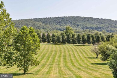 14079 Merlot Ln, Hillsboro, VA 20132 - photo 2