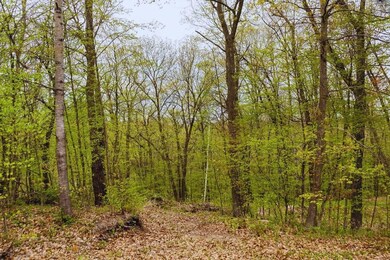 0 Flinstone Dr, Cushing, MN 56443 - photo 7