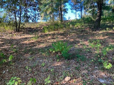 Lot 1 Sunshine Rd, Andalusia, AL 36421 - photo 4