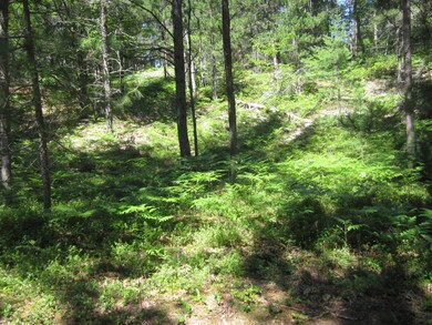 IMG_3541