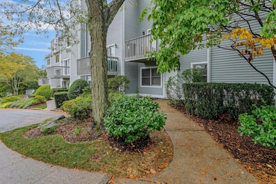 351 Pemberwick Rd unit 111, Greenwich, CT 06831 - photo 5